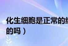 化生細(xì)胞是正常的細(xì)胞嗎（化生細(xì)胞有是正常的嗎）