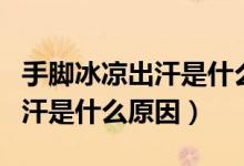 手腳冰涼出汗是什么原因造成的（手腳冰涼出汗是什么原因）