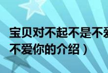 寶貝對(duì)不起不是不愛(ài)你（關(guān)于寶貝對(duì)不起不是不愛(ài)你的介紹）
