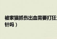 被家貓抓傷出血需要打狂犬疫苗嗎（被家貓抓傷出血需要打針嗎）