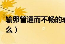 輸卵管通而不暢的表現(xiàn)（輸卵管通而不暢是什么）