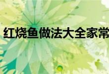 紅燒魚(yú)做法大全家常（紅燒魚(yú)家常做法大全）