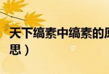 天下縞素中縞素的原意為（天下縞素縞素的意思）