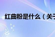 紅曲粉是什么（關(guān)于紅曲粉是什么的介紹）