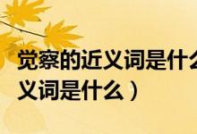 覺(jué)察的近義詞是什么最佳答案（請(qǐng)問(wèn)覺(jué)察的近義詞是什么）