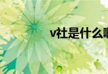 v社是什么?。╲社是什么）