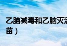 乙腦減毒和乙腦滅活疫苗（什么是乙腦滅活疫苗）