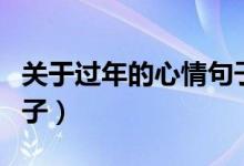 關(guān)于過(guò)年的心情句子（關(guān)于過(guò)年的經(jīng)典心情句子）