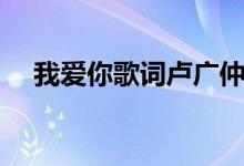 我愛(ài)你歌詞盧廣仲（我愛(ài)你的歌曲簡(jiǎn)介）