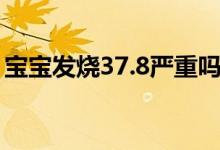 寶寶發(fā)燒37.8嚴(yán)重嗎（寶寶發(fā)燒37.5嚴(yán)重嗎）