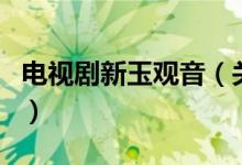 電視劇新玉觀音（關(guān)于電視劇新玉觀音的介紹）