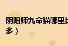 陰陽師九命貓哪里比較多（陰陽師九命貓哪里多）