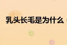 乳頭長(zhǎng)毛是為什么（乳頭上長(zhǎng)毛說(shuō)明什么）