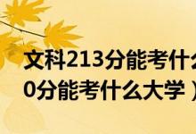 文科213分能考什么大學（2022高考藝術470分能考什么大學）
