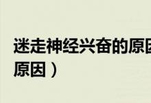 迷走神經(jīng)興奮的原因有哪些（迷走神經(jīng)興奮的原因）
