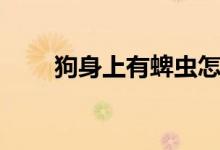 狗身上有蜱蟲(chóng)怎么辦（什么是蜱蟲(chóng)）