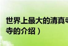 世界上最大的清真寺（關(guān)于世界上最大的清真寺的介紹）