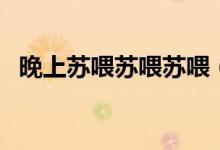 晚上蘇喂蘇喂蘇喂（晚上蘇喂蘇喂啥意思）