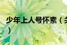 少年上人號懷素（關(guān)于少年上人號懷素的介紹）