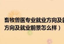 畜牧獸醫(yī)專(zhuān)業(yè)就業(yè)方向及就業(yè)前景（2022畜牧獸醫(yī)專(zhuān)業(yè)就業(yè)方向及就業(yè)前景怎么樣）