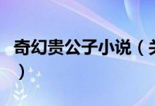 奇幻貴公子小說(關于奇幻貴公子小說的介紹)