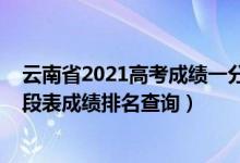 云南省2021高考成績(jī)一分一段表（云南2022年高考一分一段表成績(jī)排名查詢）