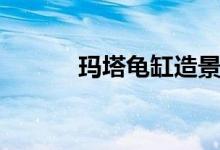 瑪塔龜缸造景（瑪塔龜好養(yǎng)嗎）