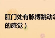 肛門處有脈搏跳動怎么回事（肛門有脈搏跳動的感覺）