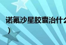 諾氟沙星膠囊治什么的（諾佛沙星膠囊治什么）