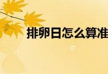 排卵日怎么算準(zhǔn)確（排卵日怎么算）