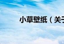 小草壁紙（關于小草壁紙的介紹）