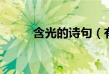 含光的詩句（有什么含光的詩句）