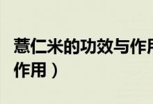 薏仁米的功效與作用有哪些（薏仁米的功效和作用）