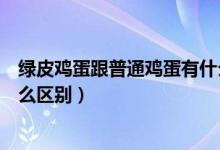 綠皮雞蛋跟普通雞蛋有什么區(qū)別（綠皮雞蛋和普通雞蛋有什么區(qū)別）
