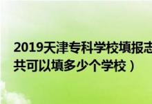 2019天津?qū)？茖W校填報志愿（2022年天津高考?？浦驹敢还部梢蕴疃嗌賯€學校）