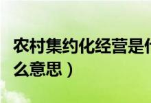 農(nóng)村集約化經(jīng)營是什么意思（集約化經(jīng)營是什么意思）