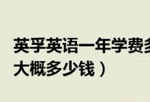 英孚英語一年學(xué)費(fèi)多少錢（英孚英語一年費(fèi)用大概多少錢）