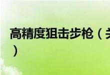 高精度狙擊步槍（關于高精度狙擊步槍的介紹）