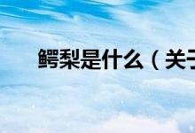 鱷梨是什么（關(guān)于鱷梨是什么的介紹）