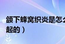 頜下蜂窩織炎是怎么引起的(蜂窩織炎怎么引起的)