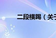 二段橫踢（關(guān)于二段橫踢的介紹）