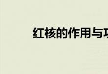 紅核的作用與功效（紅核的作用）