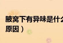 腋窩下有異味是什么原因（腋窩下有味是什么原因）