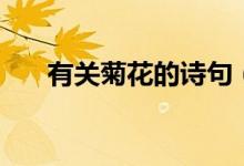有關(guān)菊花的詩句（菊花古詩十首賞析）