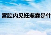 宮腔內(nèi)見(jiàn)妊娠囊是什么意思（妊娠囊是什么）