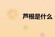 蘆根是什么（蘆根詳細介紹）