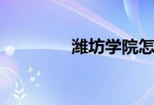 濰坊學(xué)院怎么樣（好不好）