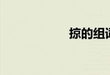 掠的組詞（掠組詞）
