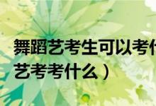 舞蹈藝考生可以考什么高中（高中舞蹈藝術生藝考考什么）