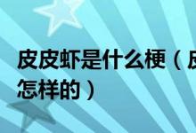 皮皮蝦是什么梗（皮皮蝦我們走的發(fā)展經過是怎樣的）